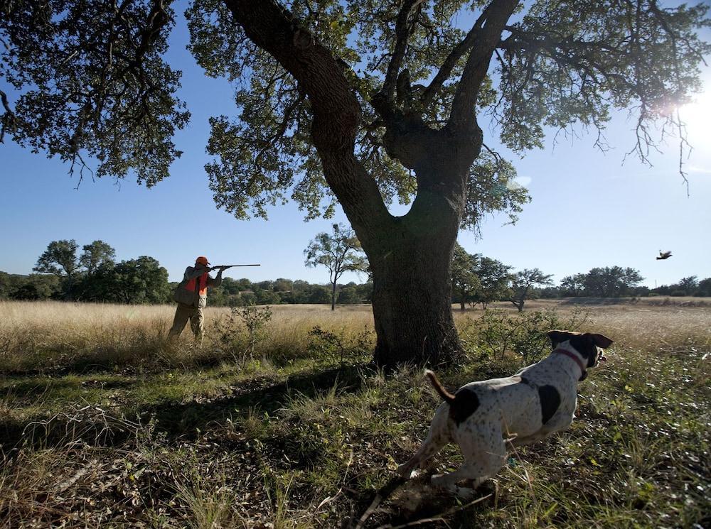 Joshua Creek Ranch Hotel Boerne Bagian luar foto